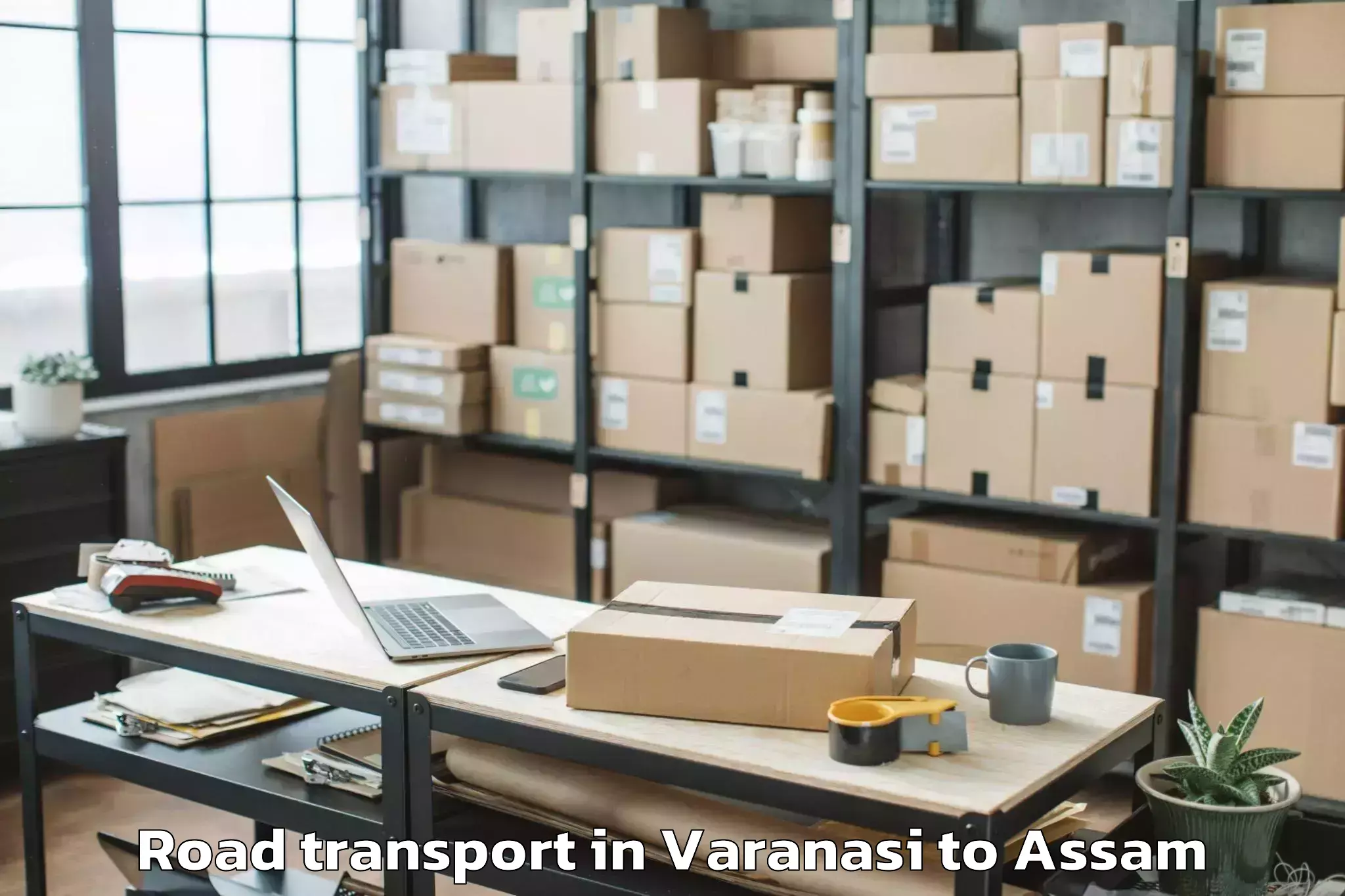 Professional Varanasi to Barpeta Road Road Transport